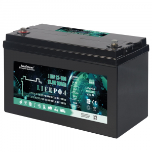 Литиевый аккумулятор EverExceed 12V 100Ah LPD12-100 LifePO4