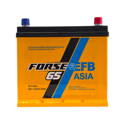Автомобільний акумулятор Forse Premium 65Ah 600A Asia EFB R+ - 1