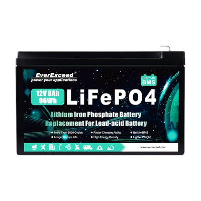Литиевый аккумулятор EverExceed 12V 8Ah LPD12-8 LifePO4 - 1
