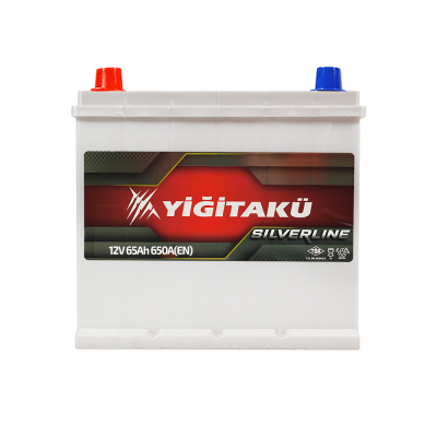 Автомобильный аккумулятор Yigitaku Asia 65Ah 650A L+ - 1