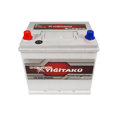 Автомобильный аккумулятор Yigitaku Asia 65Ah 650A L+ - 3