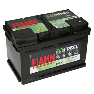 Автомобільний акумулятор Fiamm 65Ah 650A EcoForce AFB TR650 R+ - 1
