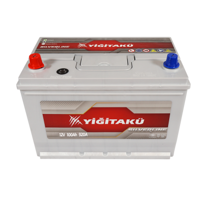 Автомобильный аккумулятор Yigitaku Asia 100Ah 920A L+ - 3