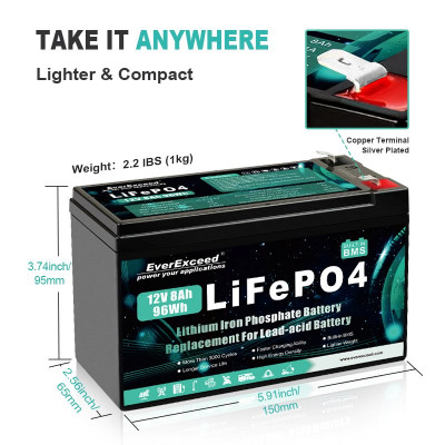 Литиевый аккумулятор EverExceed 12V 8Ah LPD12-8 LifePO4 - 3