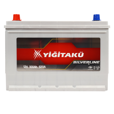 Автомобильный аккумулятор Yigitaku Asia 100Ah 920A L+ - 1