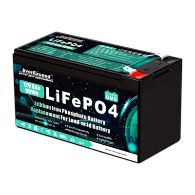 Литиевый аккумулятор EverExceed 12V 8Ah LPD12-8 LifePO4 - 2